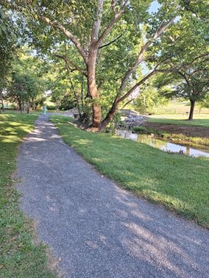 Cook's Creek Arboretum