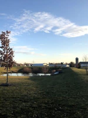 Whitelow Park