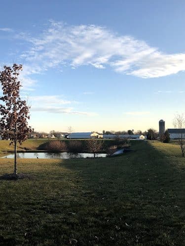 Whitelow Park