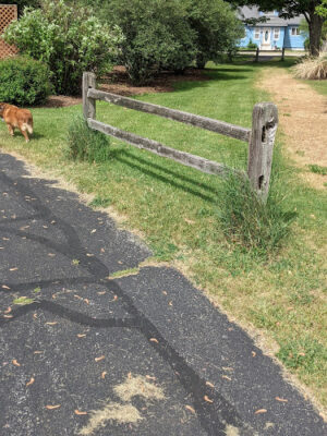 Toth Street Park