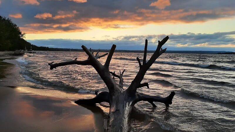 Brimley State Park - Brimley,