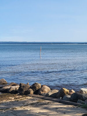 Brimley State Park