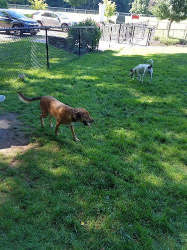 East Windsor Dog Park
