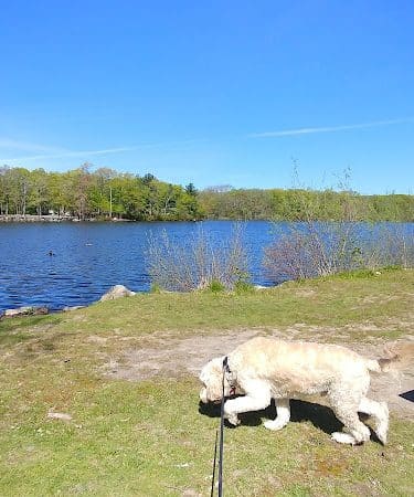 Thirty Acre Pond DW Park