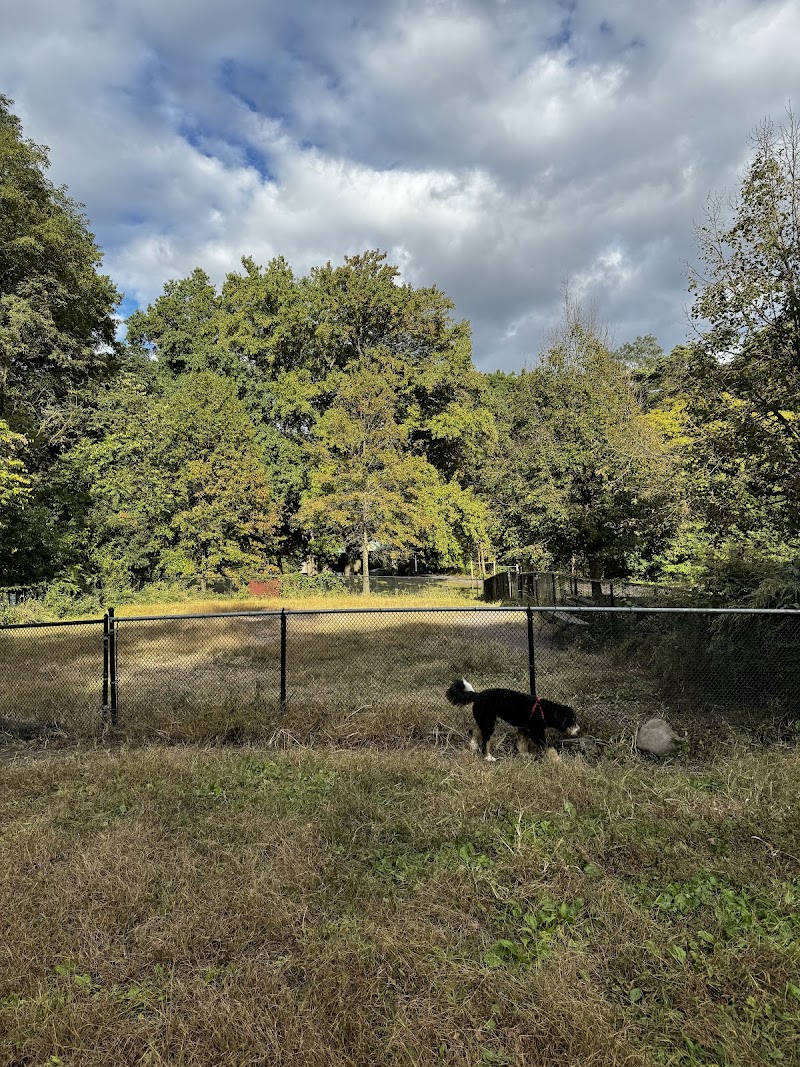Canine Court - Bronx, NY