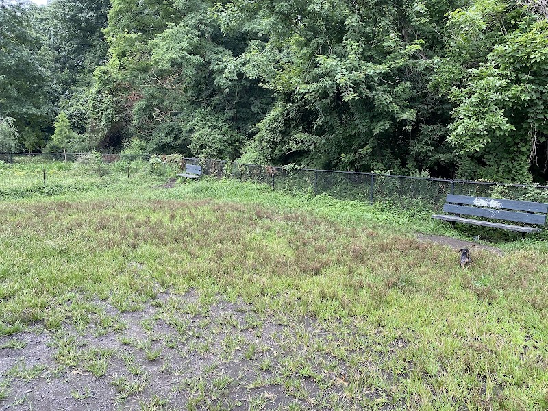 Canine Court - Bronx, NY