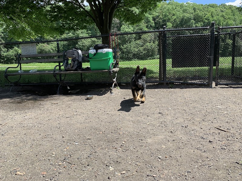 Canine Court - Bronx, NY
