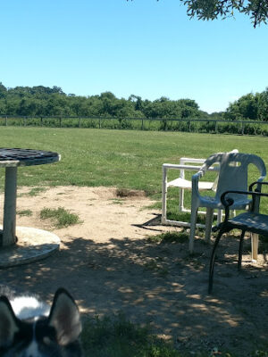 Robinson Duck Farm Dog Park