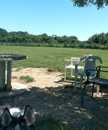 Robinson Duck Farm Dog Park