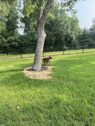 Brookings Dog Park