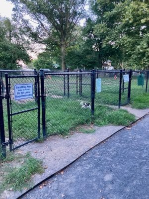 Brooklawn Dog Park