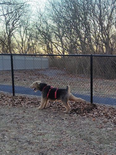 Brooklawn Dog Park