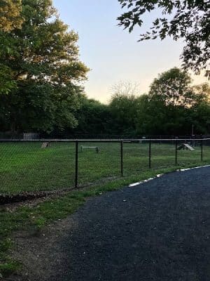 Brooklawn Dog Park