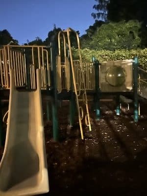 Off leash dog playground