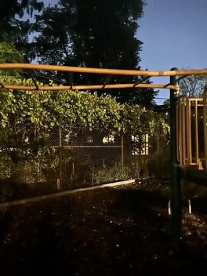 Off leash dog playground