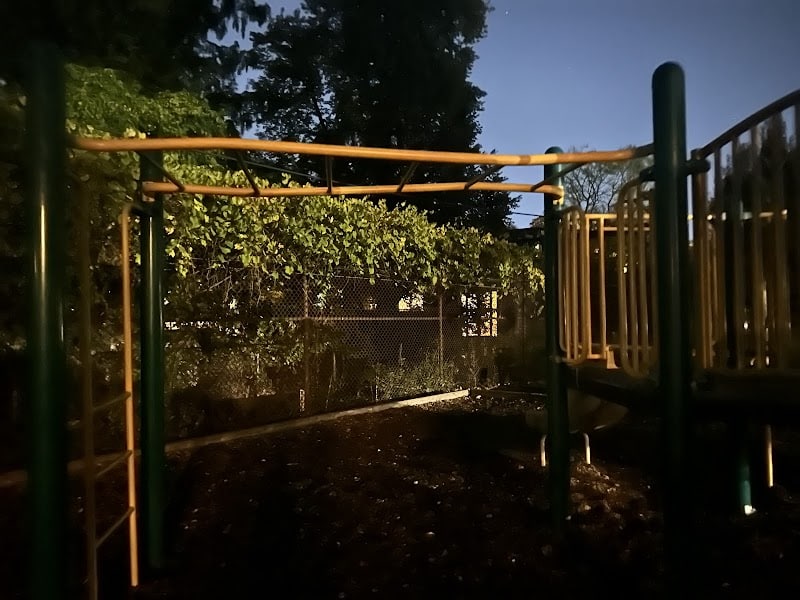 Off leash dog playground - Brookline, MA
