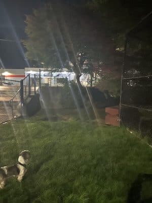 Off leash dog playground
