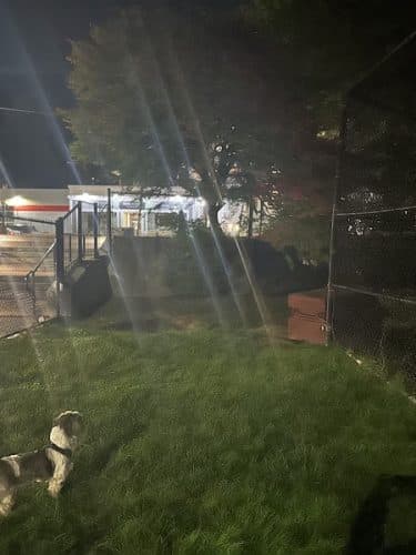 Off leash dog playground