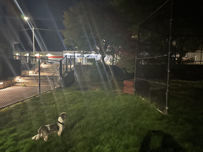 Off leash dog playground - Brookline, MA