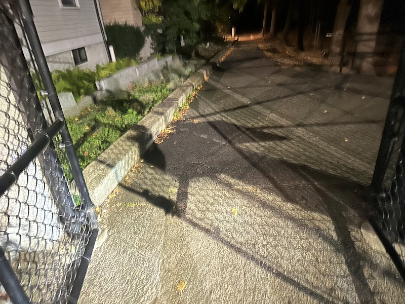 Off leash dog playground - Brookline, MA