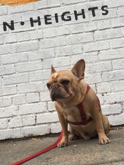 Brooklyn Bark - Brooklyn,