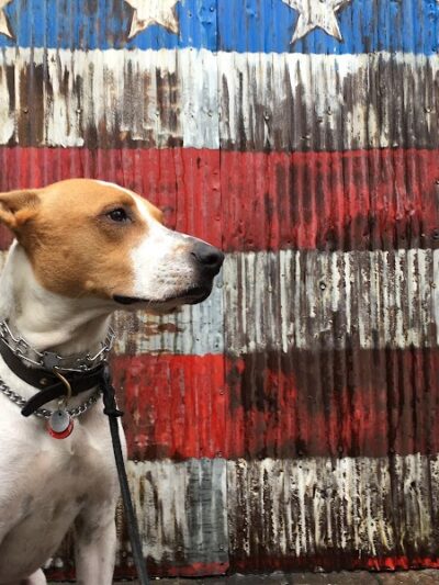 Brooklyn Bark - Brooklyn,