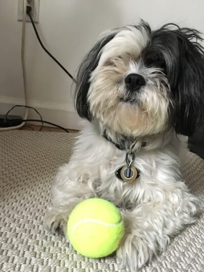 Brooklyn Bark - Brooklyn,