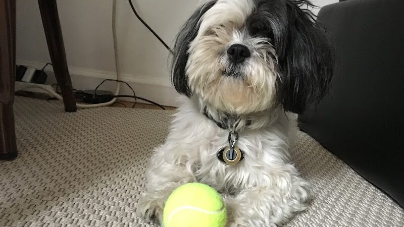 Brooklyn Bark - Brooklyn,