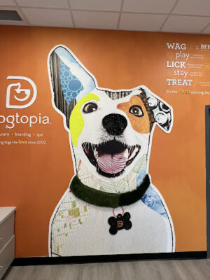 Dogtopia of Myrtle Ave. - Brooklyn