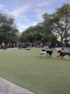 Kensington Dog Run