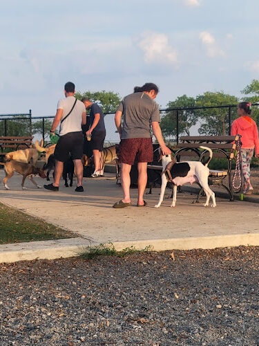 Manhattan Beach Dog Run