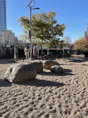 Marsha P. Johnson State Park Dog Run