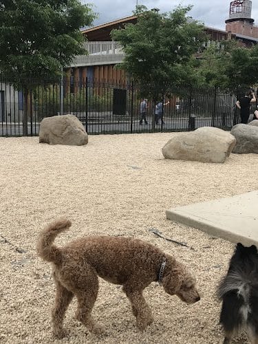 Marsha P. Johnson State Park Dog Run