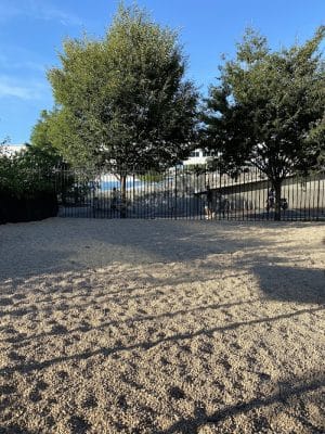 Marsha P. Johnson State Park Dog Run