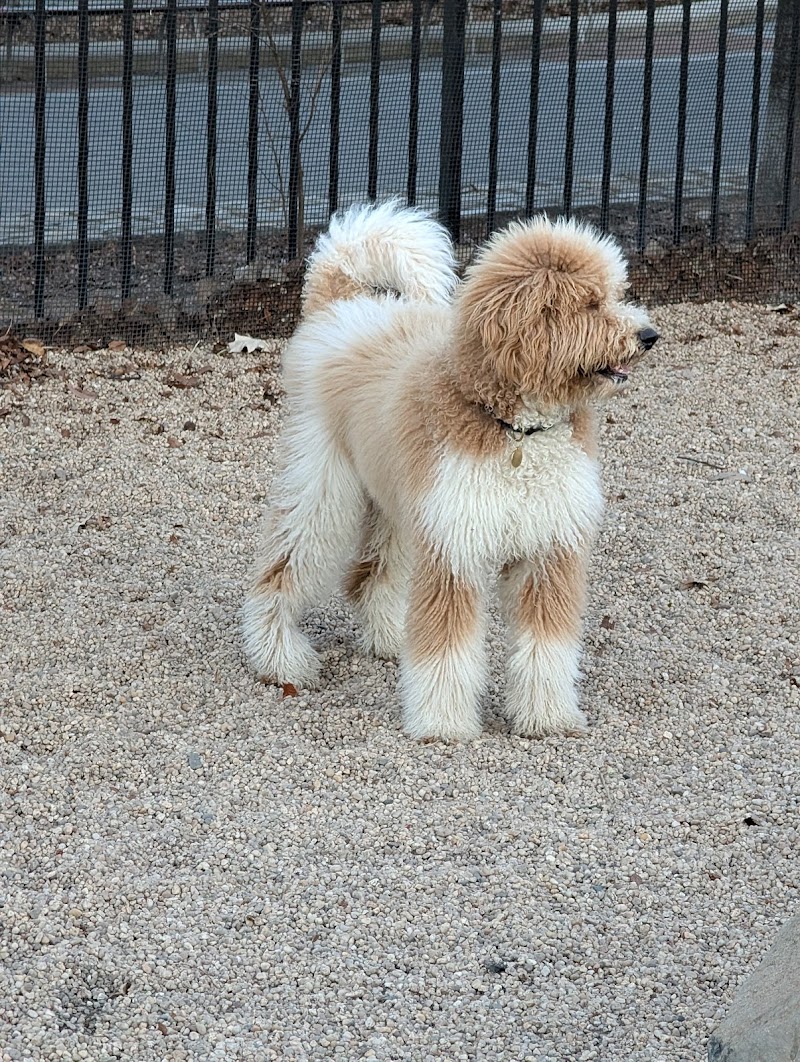 Marsha P. Johnson State Park Dog Run - Brooklyn, NY