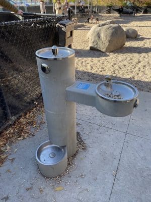 Marsha P. Johnson State Park Dog Run