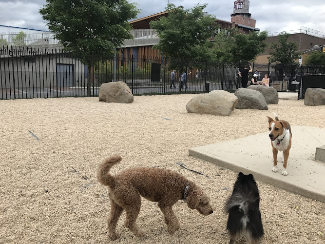 Marsha P. Johnson State Park Dog Run - Brooklyn, NY