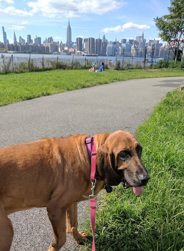 Marsha P. Johnson State Park