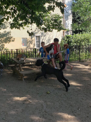 South Slope Dog Run