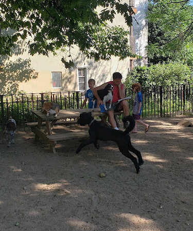 South Slope Dog Run