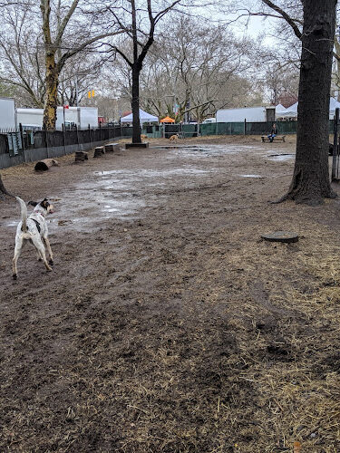 McCarren Park Dog Run