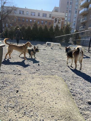 Washington Park Dog Run