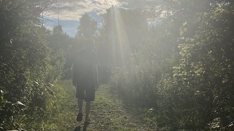 Brown City Park - Brown City, MI