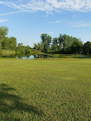 Brown City Park