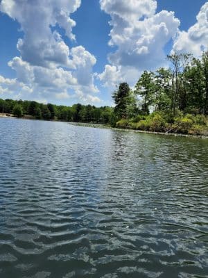 Lake of the Woods