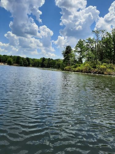 Lake of the Woods