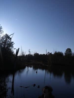 Lake of the Woods