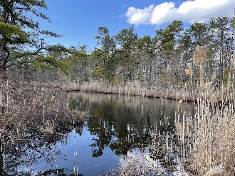 Lake of the Woods - Browns Mills, NJ