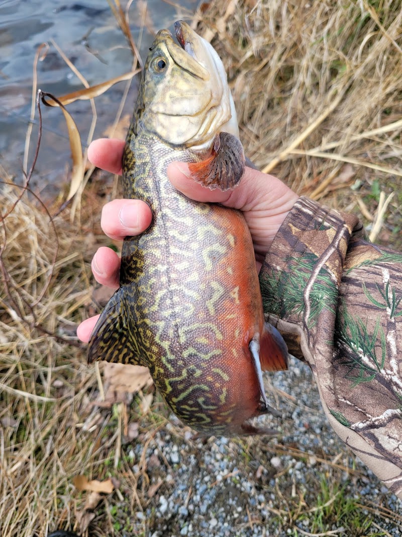 Lake of the Woods - Browns Mills, NJ