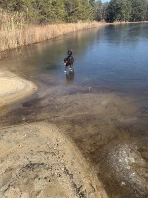 Lake of the Woods